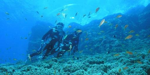海绵宝宝寻珍宝