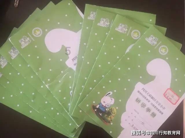小仓鼠吃瓜子